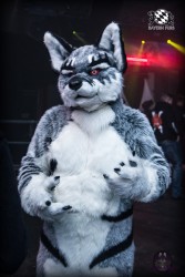 BFD6 0120 von Sephius