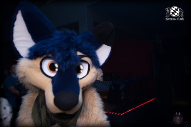 BFD6 0134 von Sephius