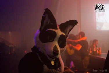 BFD6 0262 von Bastlwastl