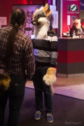 BFD6 0270 von Bastlwastl