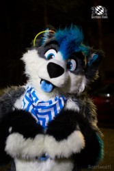 BFD6 0272 von Bastlwastl