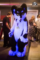 BFD6 0283 von Bastlwastl