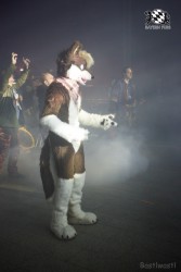 BFD6 0341 von Bastlwastl