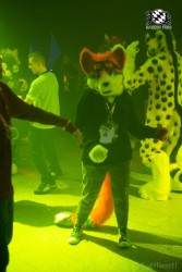 BFD6 0450 von Bastlwastl