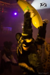 BFD6 0479 von Bastlwastl