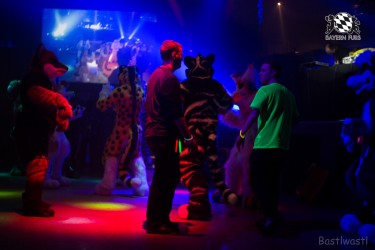 BFD6 0510 von Bastlwastl