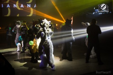 BFD6 0709 von Bastlwastl