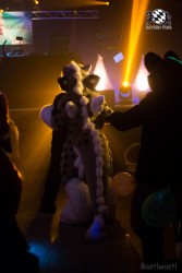 BFD6 0722 von Bastlwastl