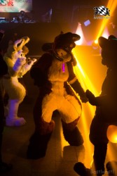 BFD6 0728 von Bastlwastl