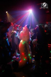 BFD2 0016 von Miu Luna