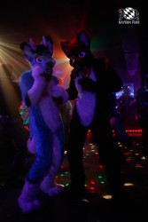 BFD2 0034 von Miu Luna