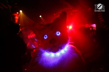 BFD2 0041 von Miu Luna