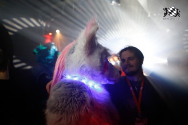 BFD2 0042 von Miu Luna