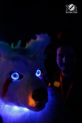 BFD2 0080 von Miu Luna