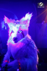 BFD2 0083 von Miu Luna