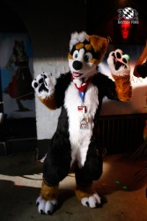 BFD2 0142 von Miu Luna