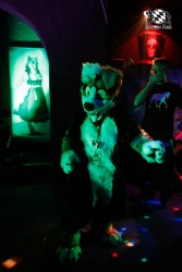 BFD2 0143 von Miu Luna