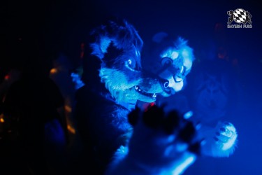 BFD2 0220 von Miu Luna