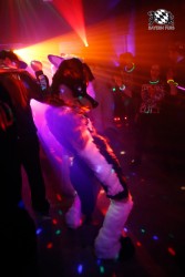 BFD2 0223 von Miu Luna