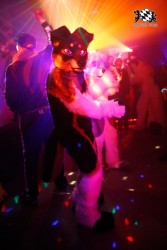 BFD2 0224 von Miu Luna