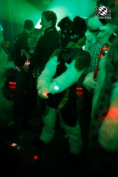 BFD2 0233 von Miu Luna