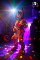 BFD2 0244 von Miu Luna