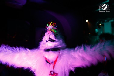 BFD2 0280 von Miu Luna