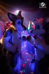 BFD2 0300 von Miu Luna