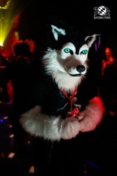 BFD2 0312 von Miu Luna