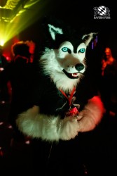 BFD2 0313 von Miu Luna