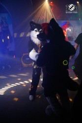 BFD2 0318 von Miu Luna