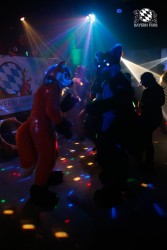 BFD2 0334 von Miu Luna