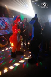 BFD2 0335 von Miu Luna