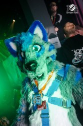 BFD2 0618 von Lee Taiger