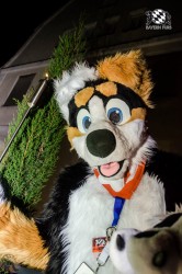 BFD2 0626 von Lee Taiger