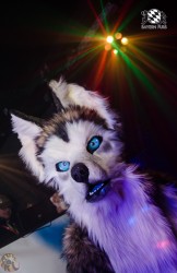 BFD2 0641 von Lee Taiger