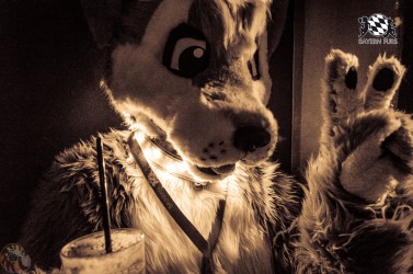 BFD2 0647 von Lee Taiger