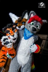 BFD2 0656 von Lee Taiger