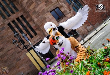 BFD1 0321 von Lee Taiger