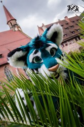 BFD1 0324 von Lee Taiger