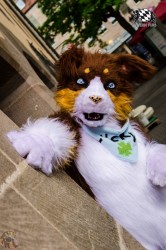 BFD1 0325 von Lee Taiger