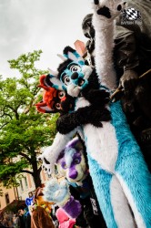 BFD1 0327 von Lee Taiger