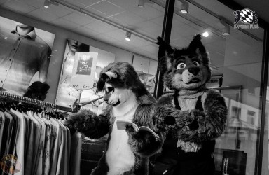 BFD1 0329 von Lee Taiger