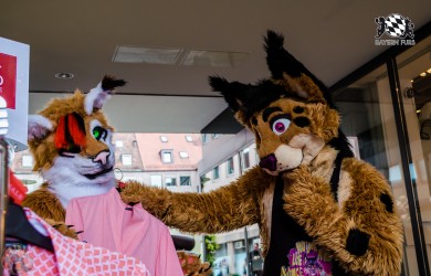 BFD1 0330 von Lee Taiger