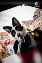 BFD1 0334 von Lee Taiger