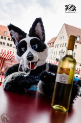 BFD1 0335 von Lee Taiger