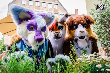 BFD1 0336 von Lee Taiger