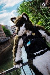 BFD1 0356 von Lee Taiger