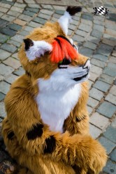 BFD1 0357 von Lee Taiger