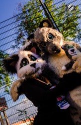 BFD1 0364 von Lee Taiger